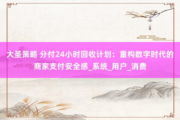 大圣策略 分付24小时回收计划：重构数字时代的商家支付安全感_系统_用户_消费
