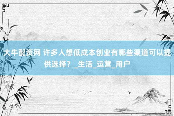 大牛配资网 许多人想低成本创业有哪些渠道可以提供选择？_生活_运营_用户