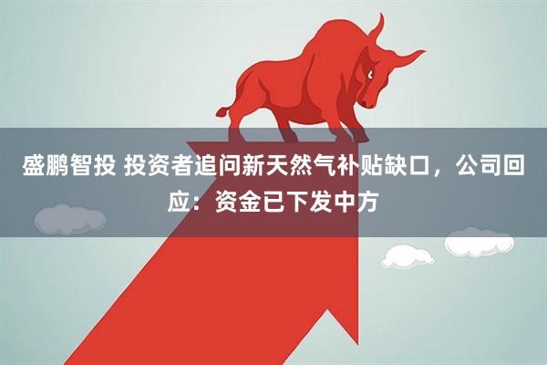盛鹏智投 投资者追问新天然气补贴缺口，公司回应：资金已下发中方